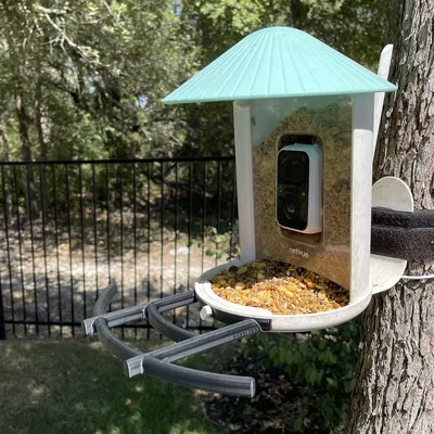 Đế cho Bộ cho chim ăn thông minh Netvue