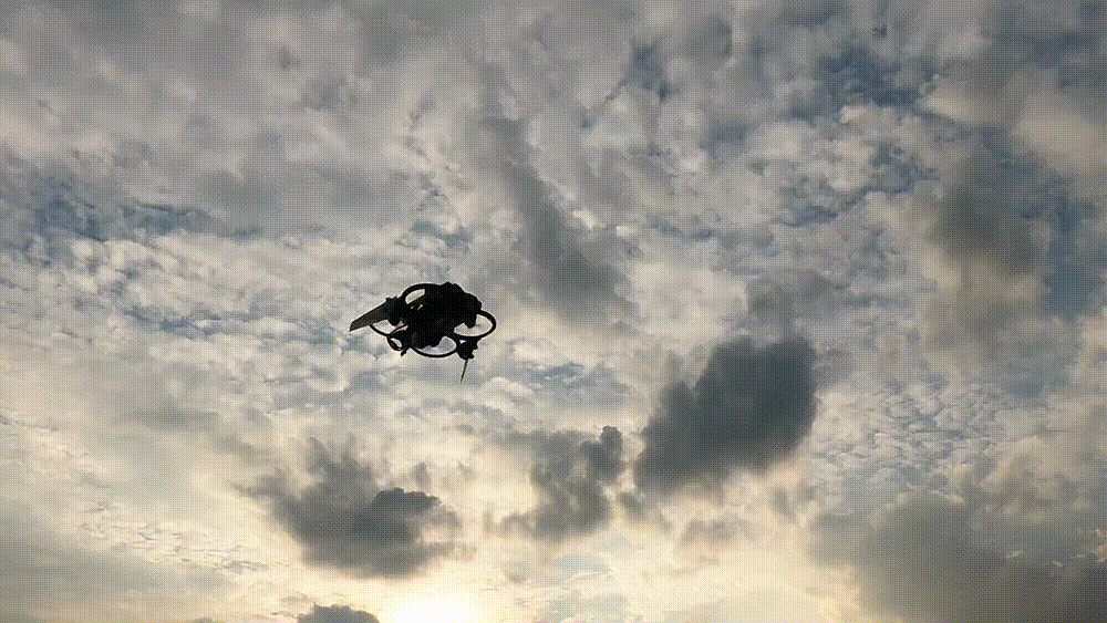 Drone FPV BD1 "Chimera" - Mã nguồn mở 2.2" - Thumbnail 2