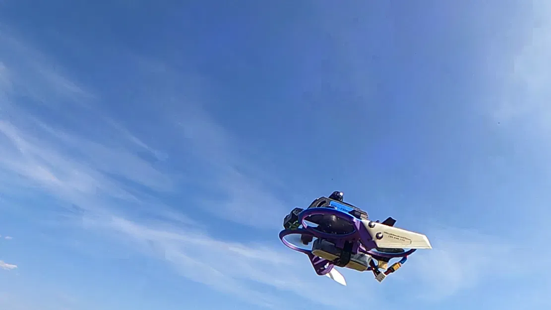 Drone FPV BD1 "Chimera" - Mã nguồn mở 2.2" - Image 4