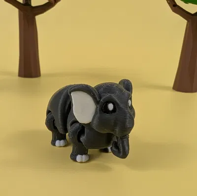 Voi - Móc Khóa Khớp Nối