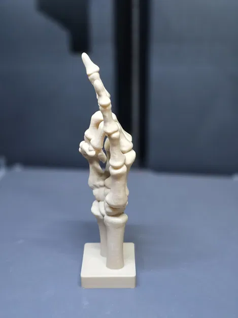 Xương thành Đá - Image 2