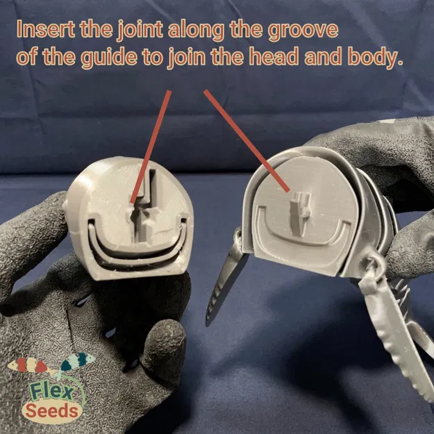 Cá Voi Hùm Flexi Mới (in liền) - Image 6