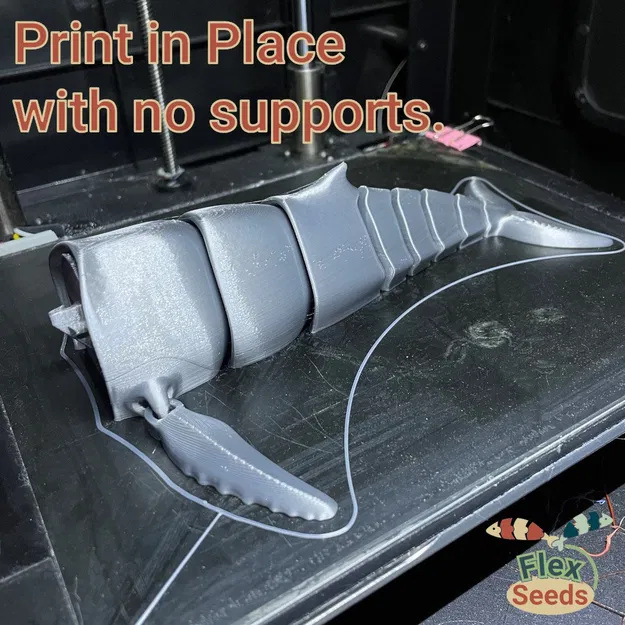 Cá Voi Hùm Flexi Mới (in liền) - Image 8