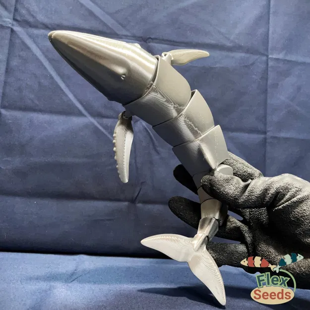 Cá Voi Hùm Flexi Mới (in liền) - Image 12