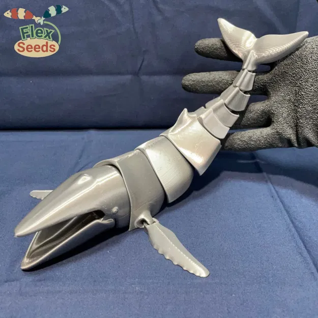 Cá Voi Hùm Flexi Mới (in liền) - Image 14