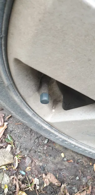 Nắp Chụp Bụi Van Schrader - Image 3