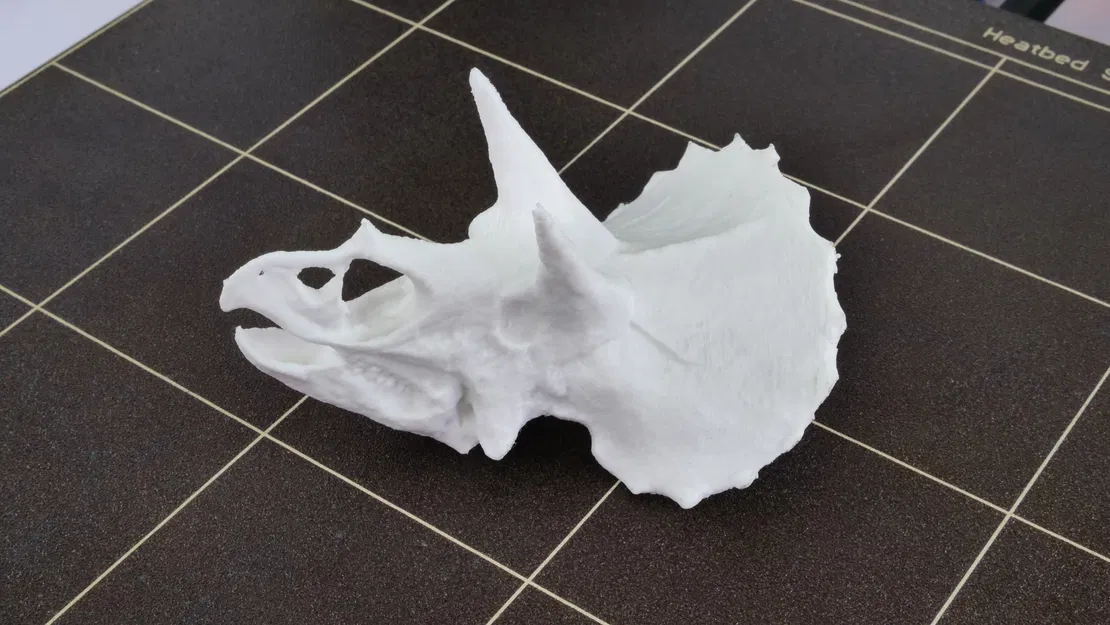 ĐẦU TRICERATOPS CÓ HỖ TRỢ IN - Image 1