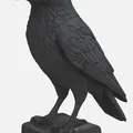 Tượng Quạ - Thumbnail 2