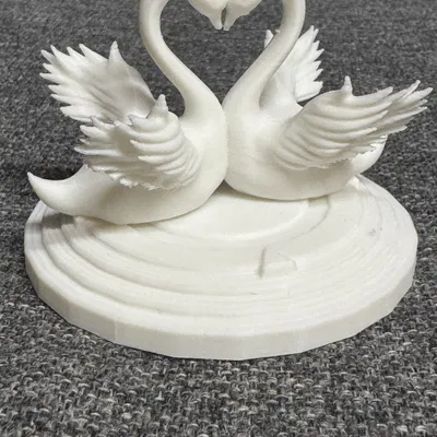 Cặp Đôi Thiên Nga Đẹp