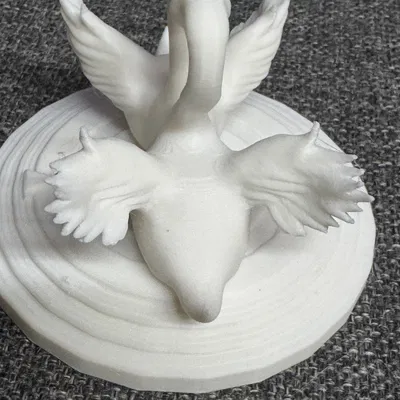 Cặp Đôi Thiên Nga Đẹp