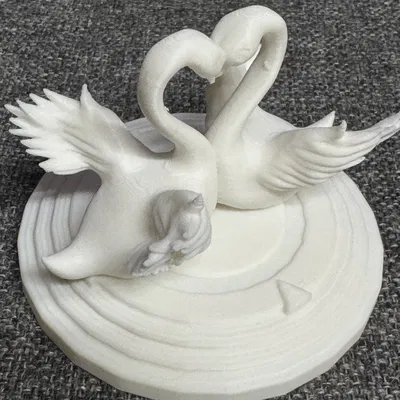 Cặp Đôi Thiên Nga Đẹp