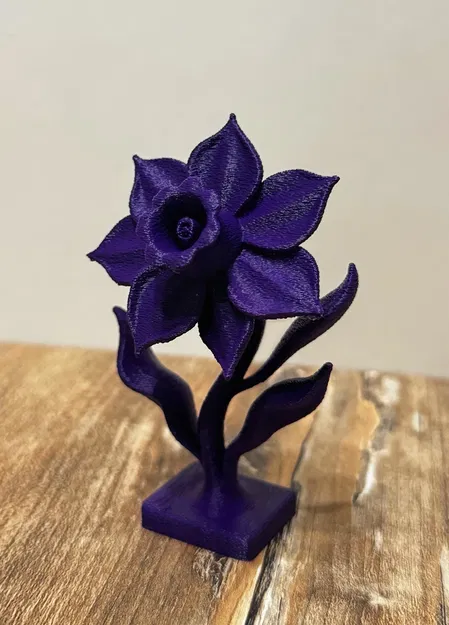 Hoa Thủy Tiên - Hoa Tháng Sinh Của Tháng Ba - Image 1