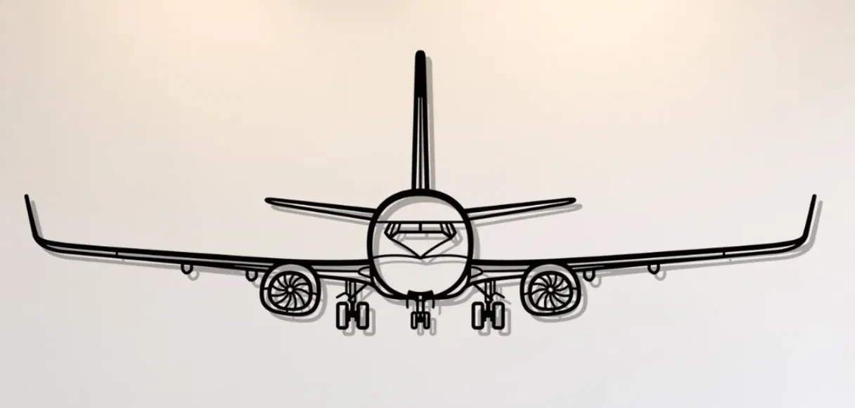 Tranh Trang Trí Tường Máy Bay Boeing 737-800NG - Image 1