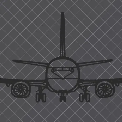 Tranh Trang Trí Tường Máy Bay Boeing 737-800NG