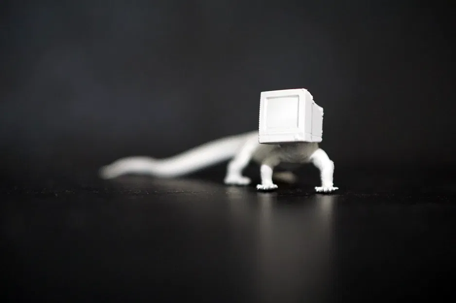 Thằn Lằn Giám Sát (Monitor Lizard) - Image 3