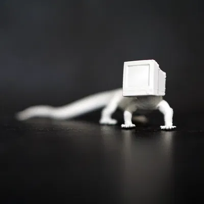 Thằn Lằn Giám Sát (Monitor Lizard)