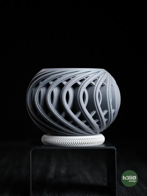 chậu cây morph - Image 2