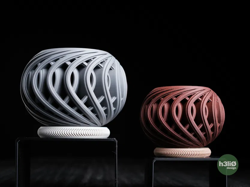 chậu cây morph - Image 6