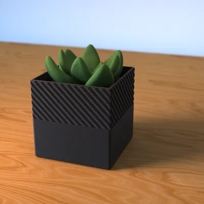 Chậu Cây Hình Học - Phiên Bản 2