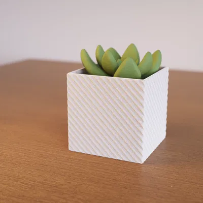 Chậu Cây Hình Học Vuông - Phiên Bản 1