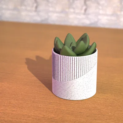 Chậu Cây Hình Học - Phiên Bản 3