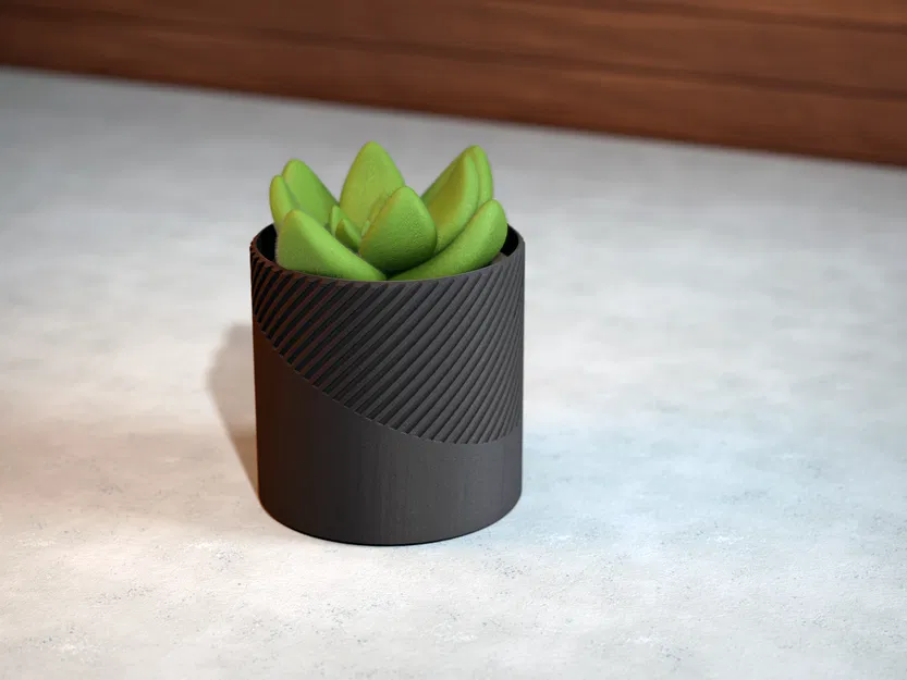 Chậu Cây Hình Học - Phiên Bản 4 - Image 1