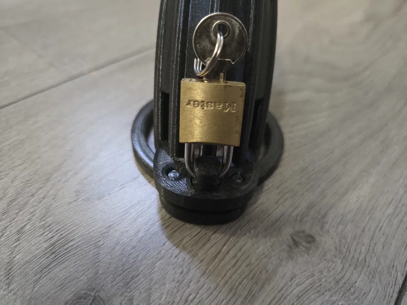 Lồng Trinh Tiết Parametric Cỡ Đại XL - Image 4