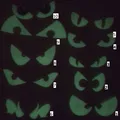 Mắt Ma Quái "Spooky Eyes" - Thumbnail 1