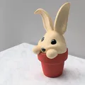 Chậu Thỏ Con - Đơn và Đa vật liệu - Thumbnail 4