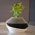 Chậu Cây Hiện Đại 001 - Thumbnail 1