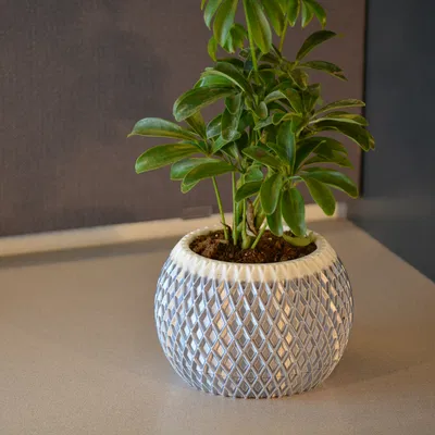 Chậu Cây Hiện Đại 002 - Có Khay Hứng Nước Ẩn