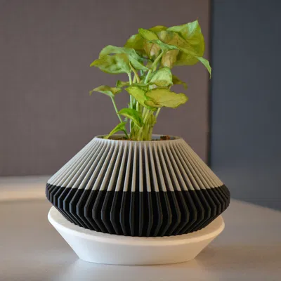 Chậu Cây Hiện Đại 001