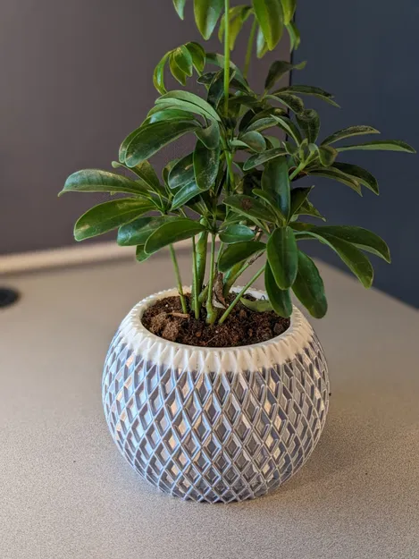 Chậu Cây Hiện Đại 002 - Có Khay Hứng Nước Ẩn - Image 3