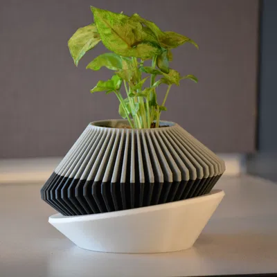 Chậu Cây Hiện Đại 001