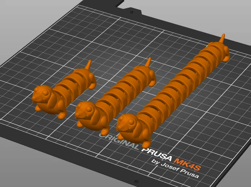 Chó Dachshund Khớp Nối - 3 Độ Dài Khác Nhau - Image 3