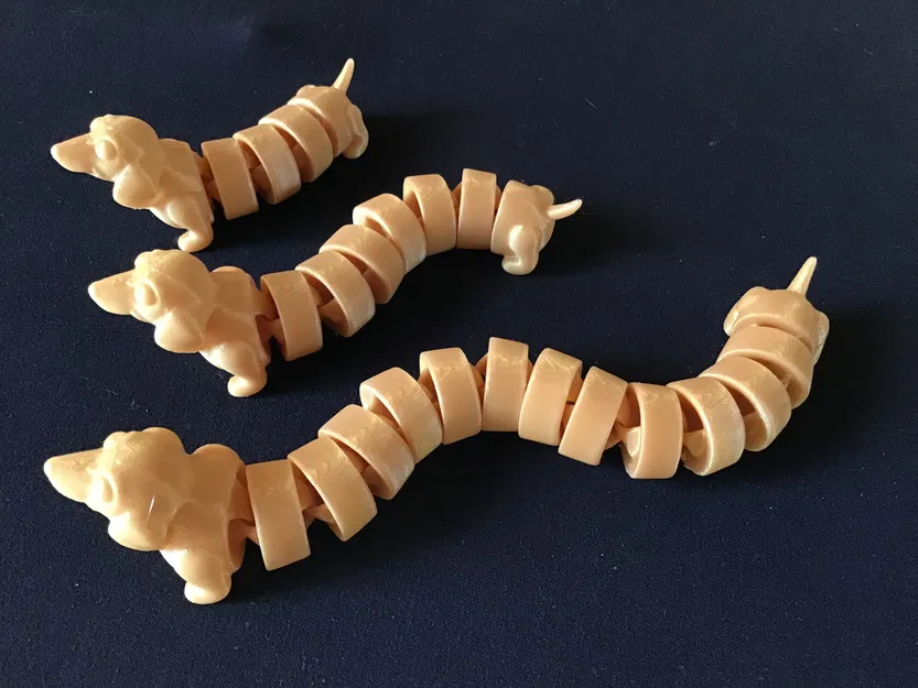 Chó Dachshund Khớp Nối - 3 Độ Dài Khác Nhau - Image 5