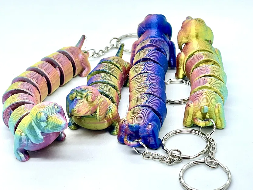 Chó Dachshund - Khớp nối - Image 1