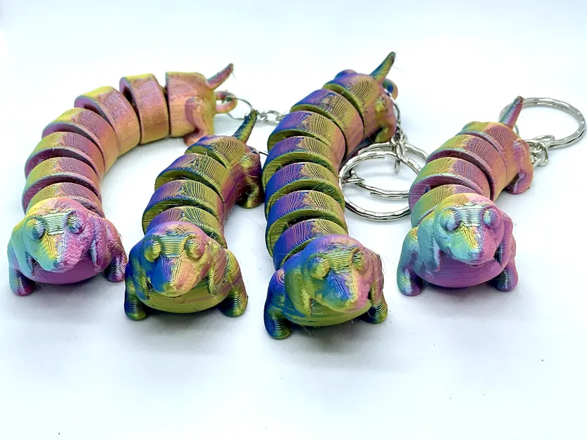 Chó Dachshund - Khớp nối - Image 2