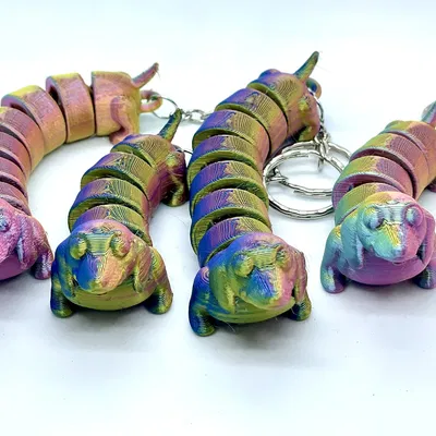 Chó Dachshund - Khớp nối