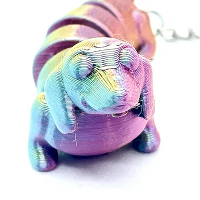 Chó Dachshund - Khớp nối