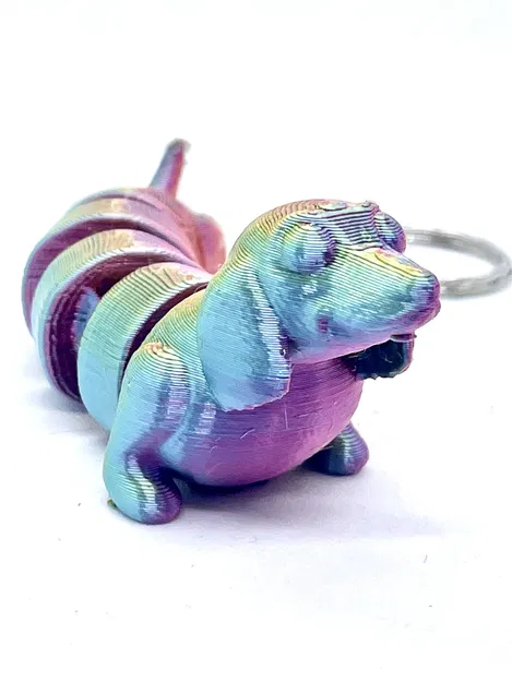 Chó Dachshund - Khớp nối - Image 4