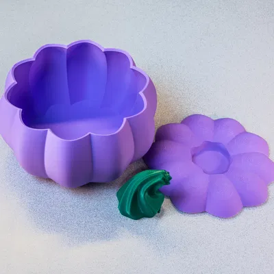 Tô Bí Ngô Có Nắp