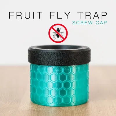 Bẫy Ruồi Giấm Hiện Đại