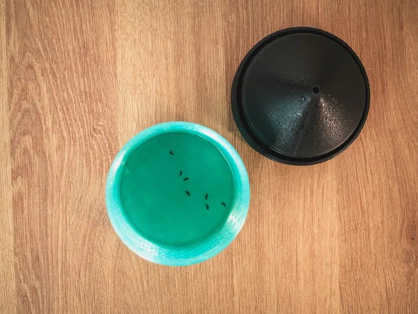 Bẫy Ruồi Giấm Hiện Đại - Image 5