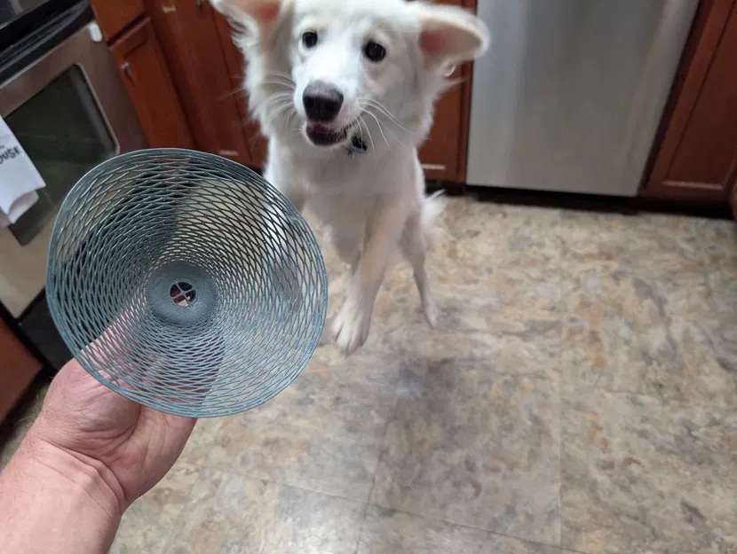 Mô hình "Kirigami" "Dù bay" - Image 2