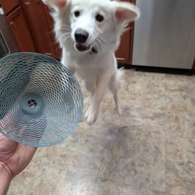 Mô hình "Kirigami" "Dù bay"