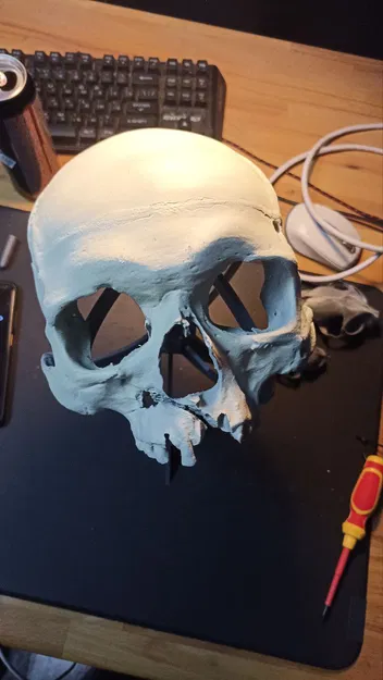 Mặt nạ đầu lâu chân thật - Image 1