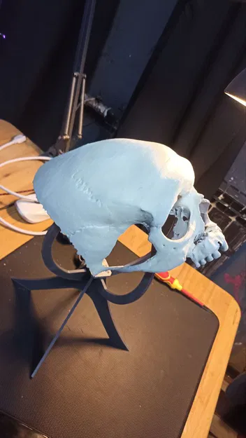 Mặt nạ đầu lâu chân thật - Image 3