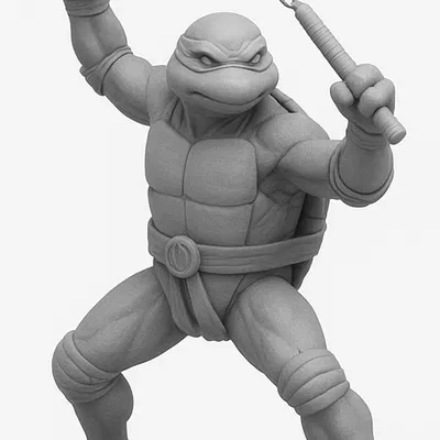 TMNT - Michelangelo