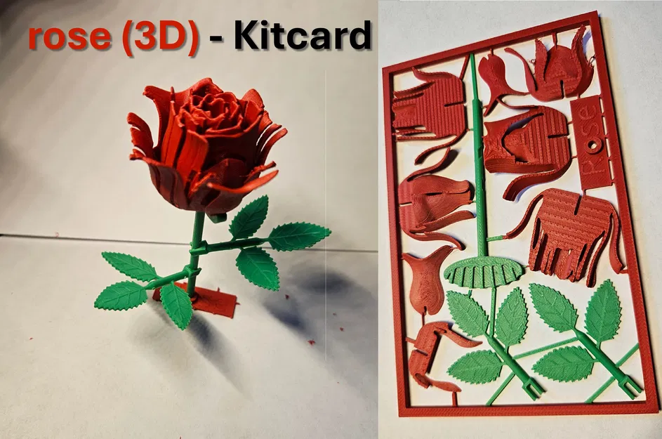 Hoa Hồng Kitcard - Image 1